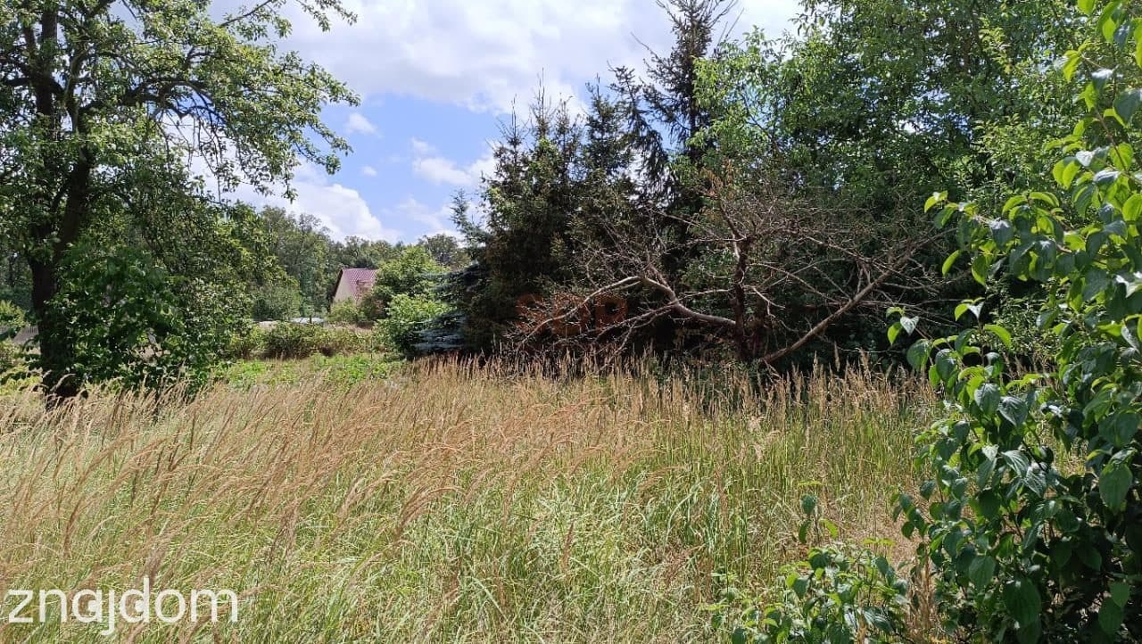 Kotowice, 1600 m2 z domem, woda, prąd, poma ciepła - zdjęcie 4