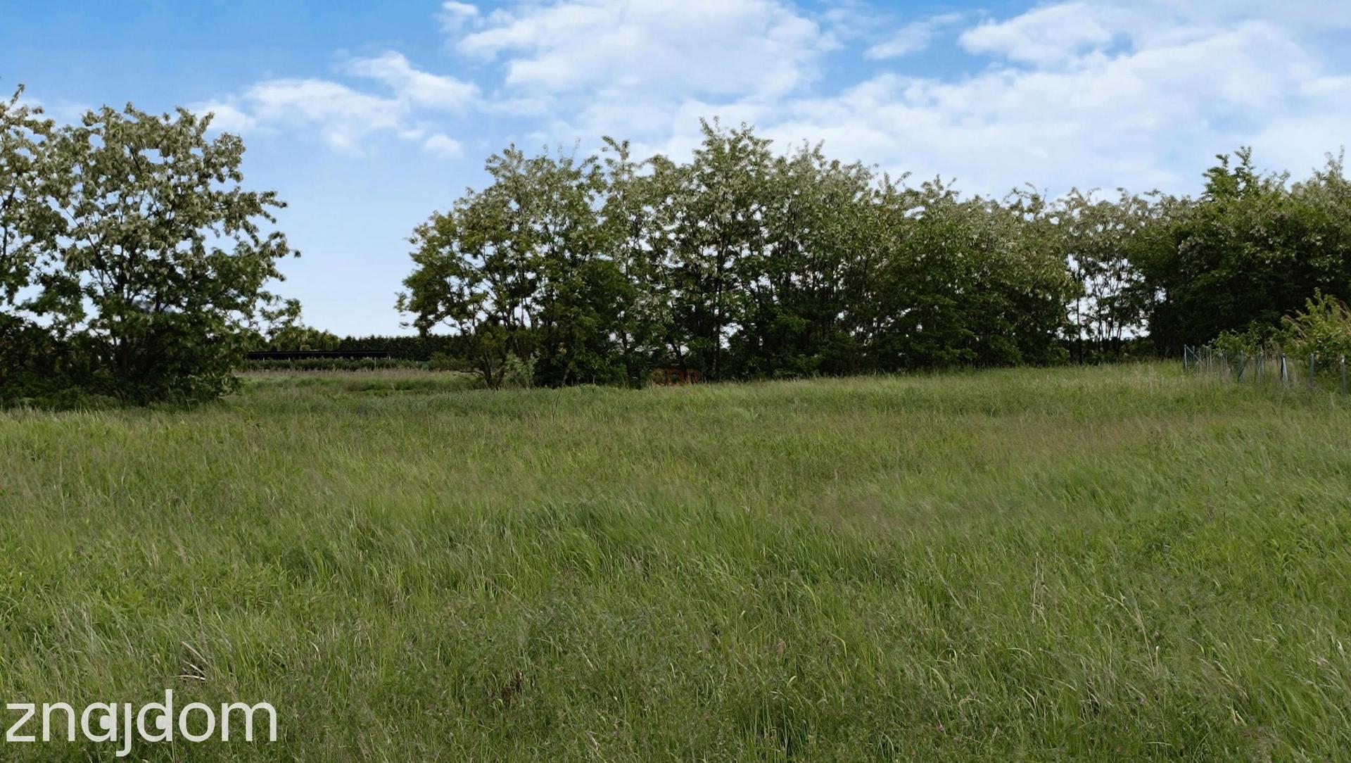 Sobocisko, gm. Oława, 10.373 m2, wz 18 domów woln. - zdjęcie 3
