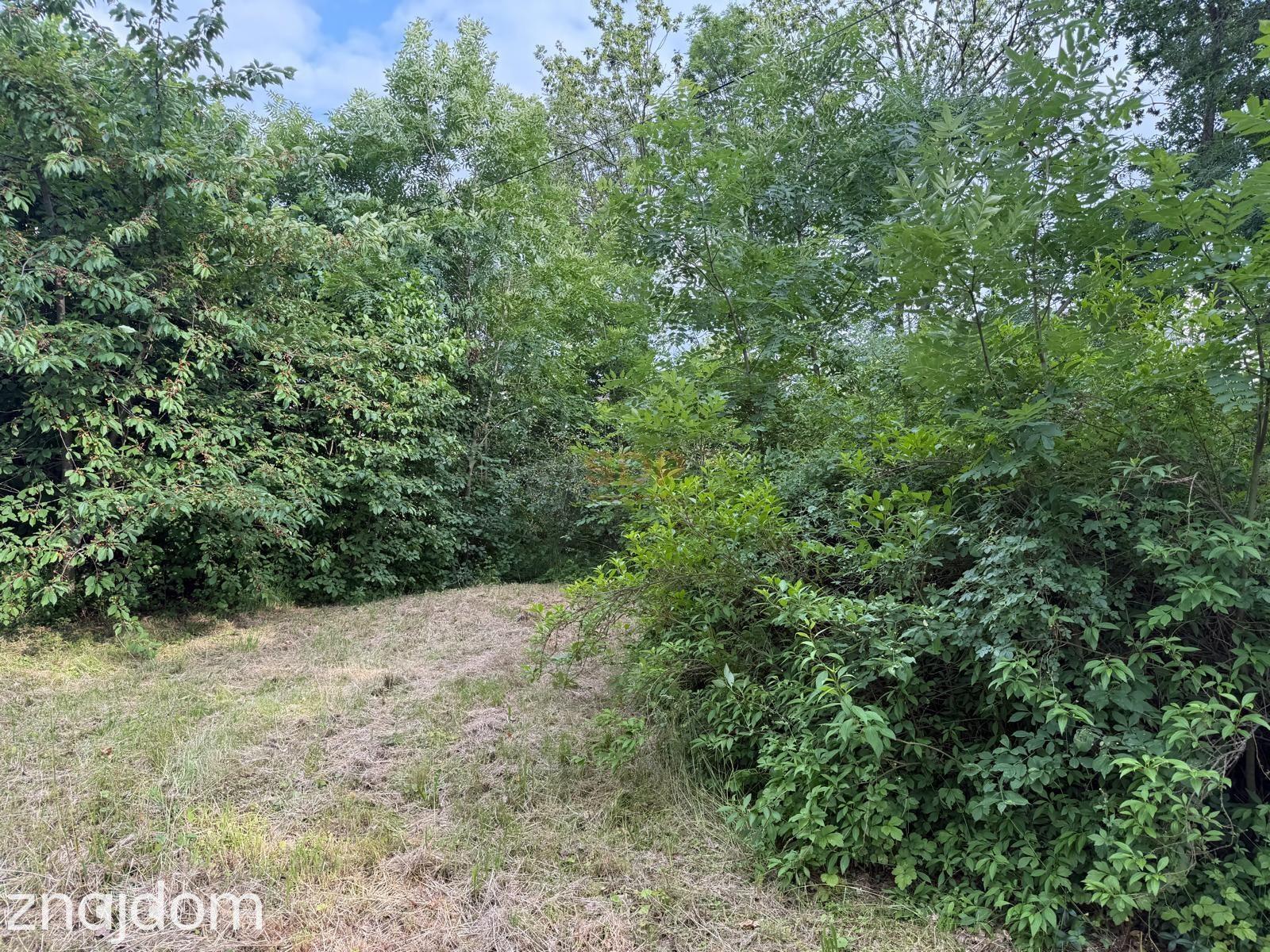 |Działka na sprzedaż! |Domasław |3000 m²| - zdjęcie 10
