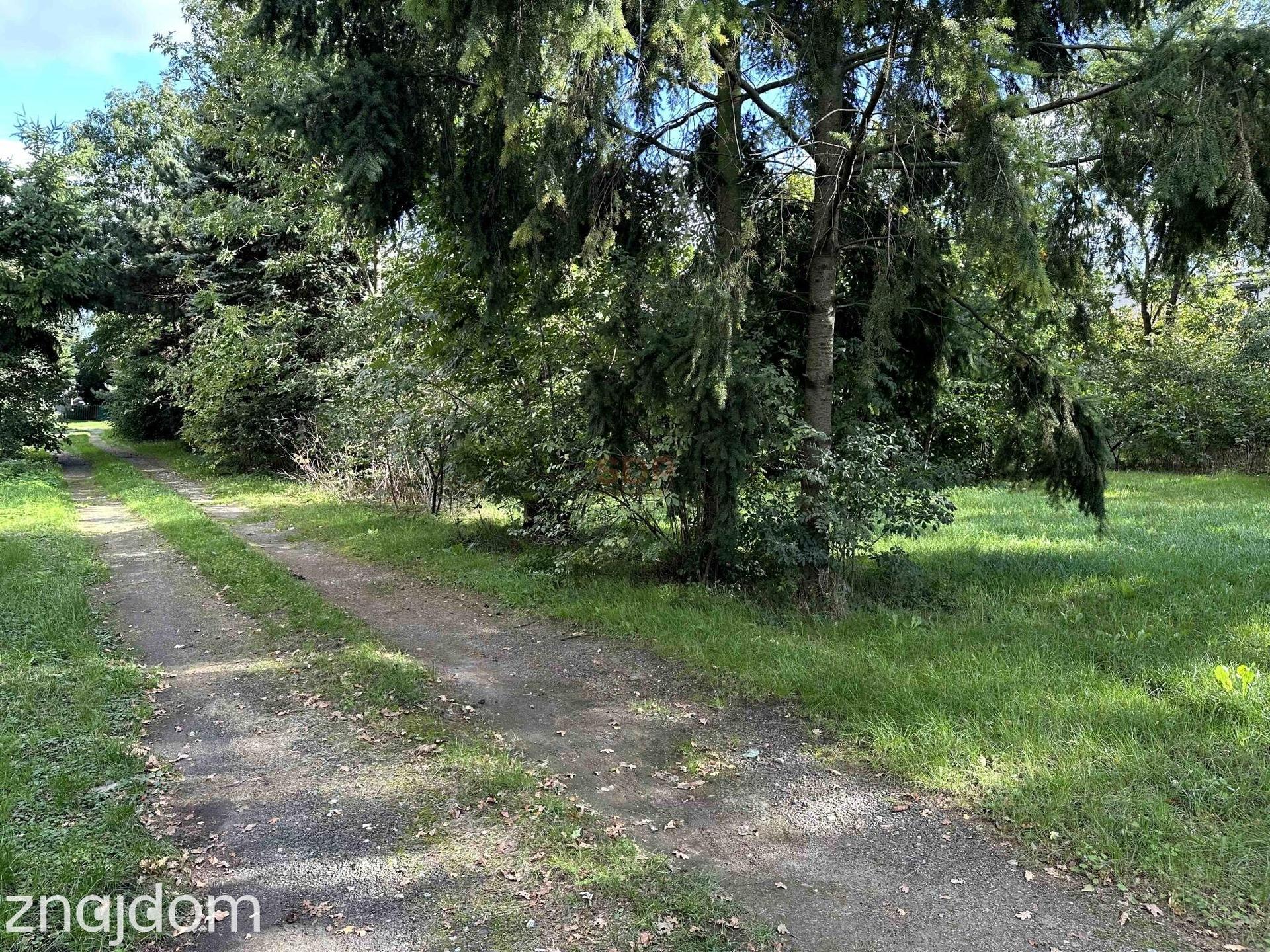 |Działka na sprzedaż! |Domasław |3000 m²| - zdjęcie 7