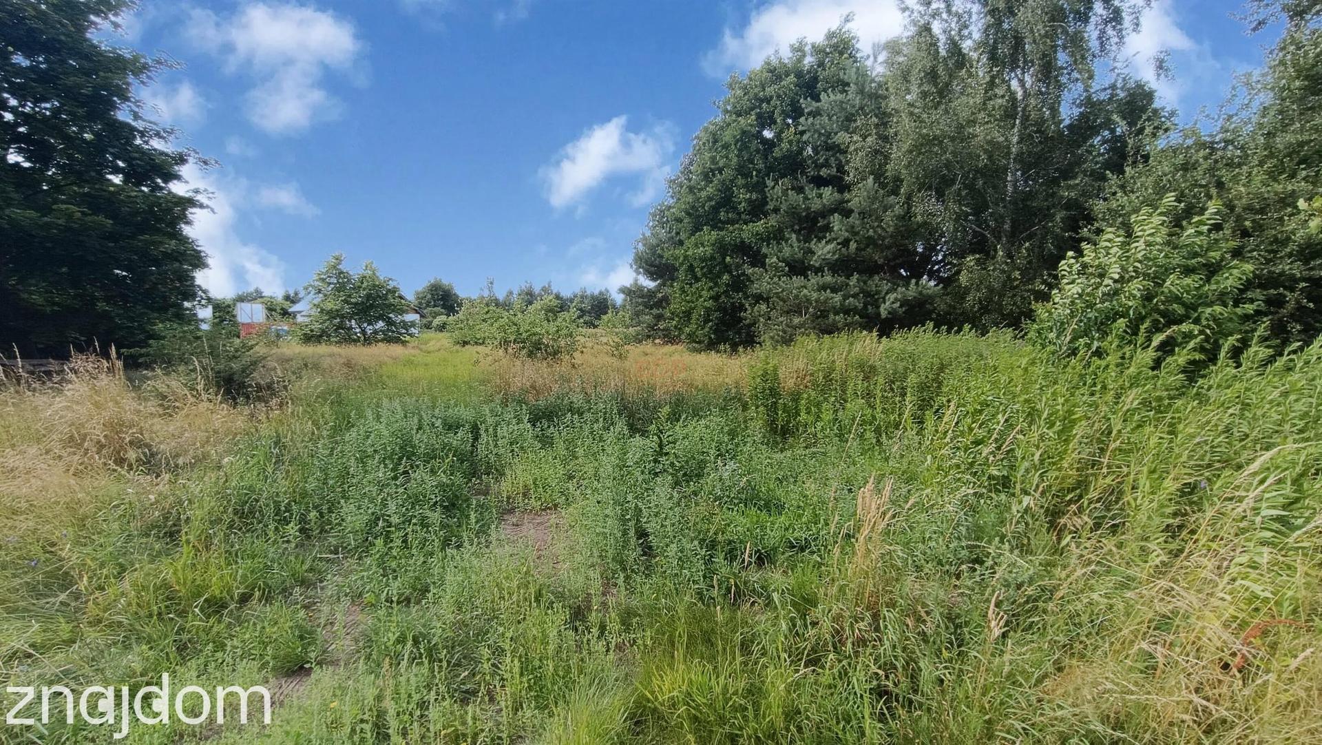 Dobrzykowice, budowlana, 1801 m2, media w drodze, MPZP - zdjęcie 5