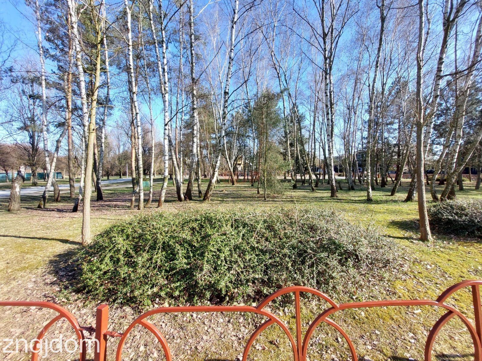 Słoneczny dom na Strachocinie/ Salon 53 m2 - zdjęcie 7
