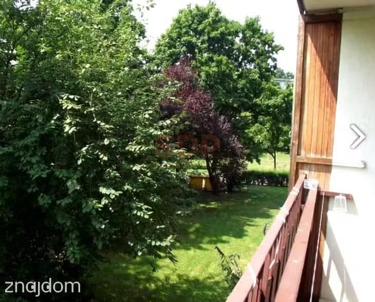 Słoneczne 3 pokojowe / oddzielna kuchnia / duży balkon / piwnica - zdjęcie 4