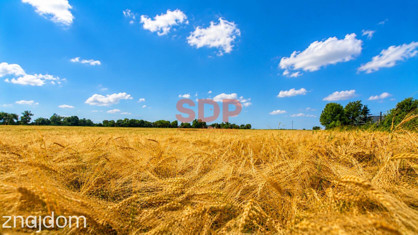 Bratowice | 1184 mkw. | woda | prąd | działka budowlana - zdjęcie 13