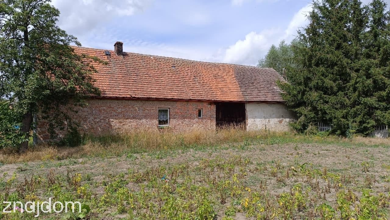 Kotowice, dom 100 m2, działka 1600 m2 - zdjęcie 4