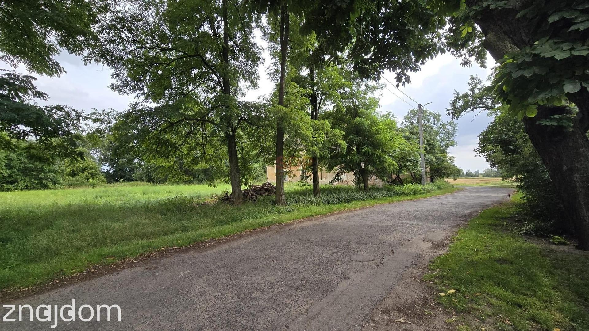 Dom do remontu / siedlisko / Działki 1,74 ha/ Siedlisko - zdjęcie 6
