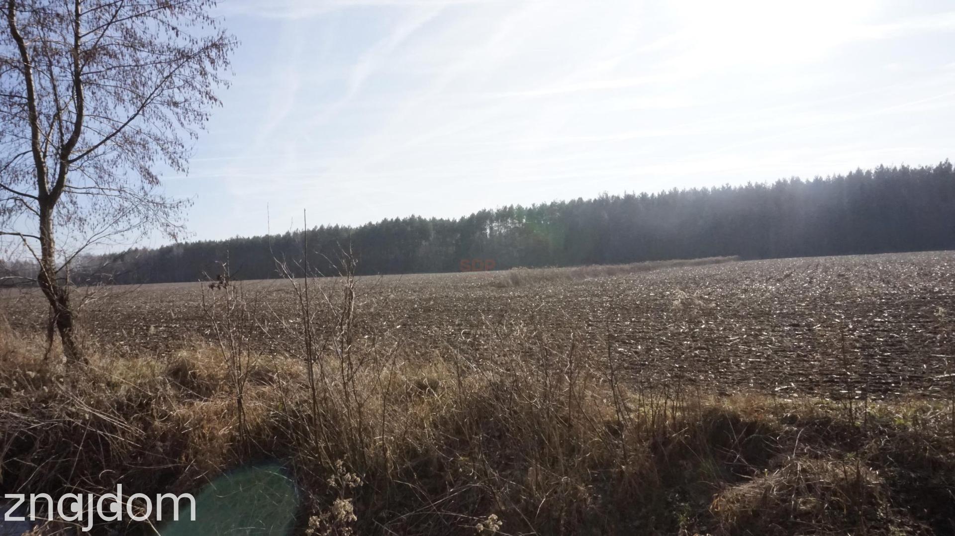 Wyjątkowa działka pod Wrocławiem! - zdjęcie 12