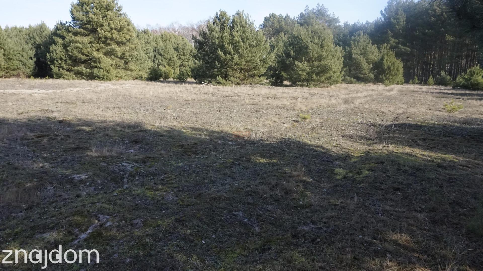 Wyjątkowa działka pod Wrocławiem! - zdjęcie 14