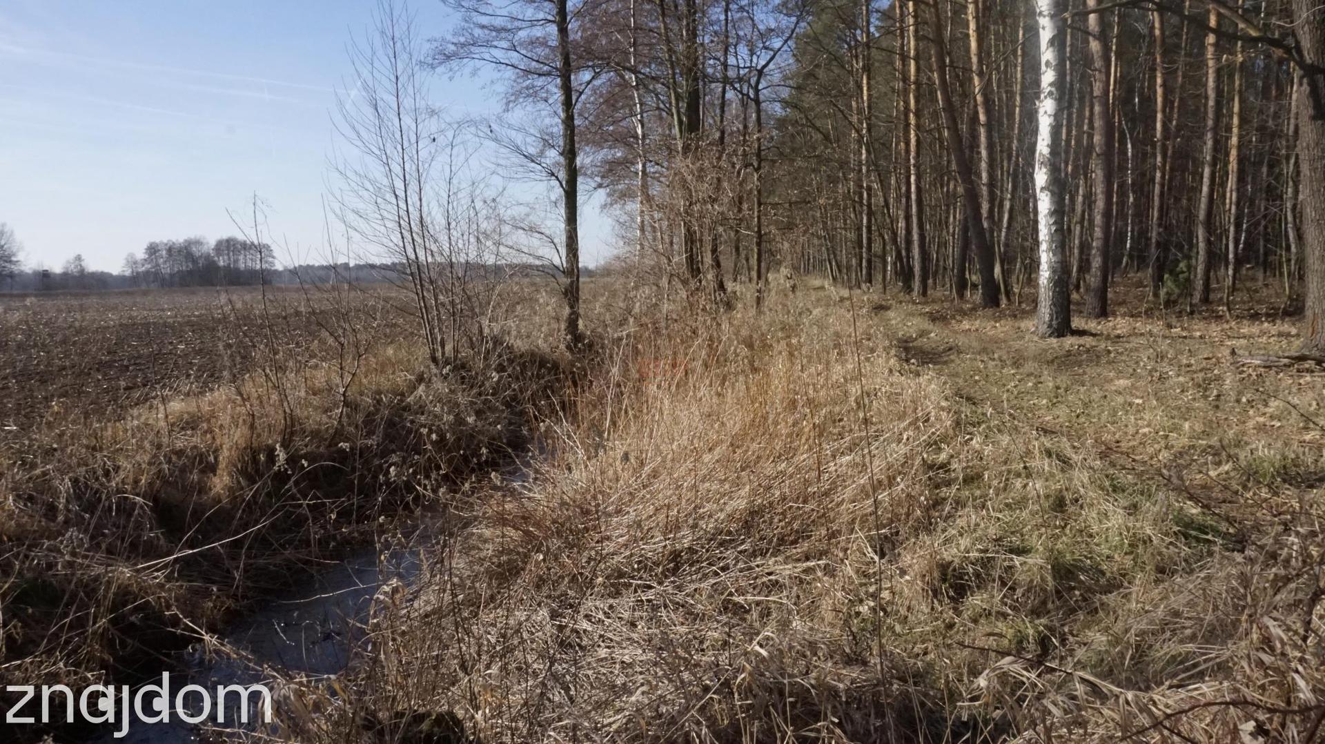Wyjątkowa działka pod Wrocławiem! - zdjęcie 3