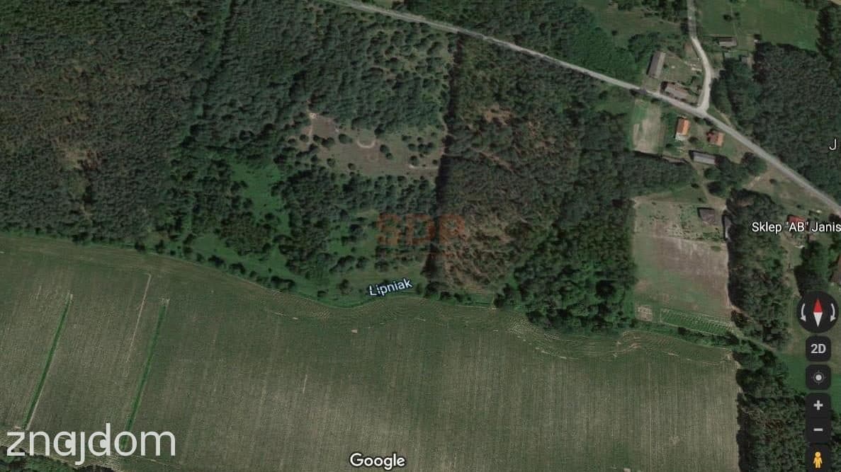 Działki budowlane pośród lasów. - zdjęcie 3