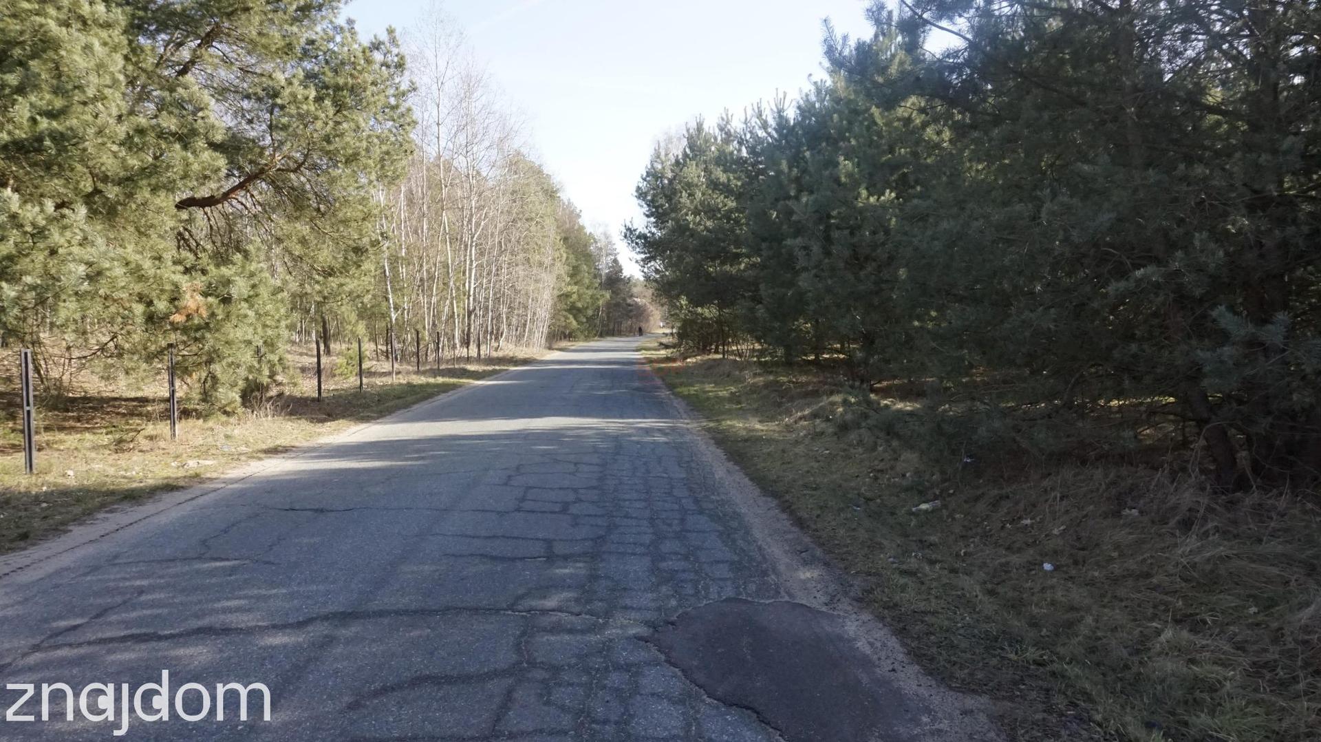 Działki budowlane pośród lasów. - zdjęcie 8
