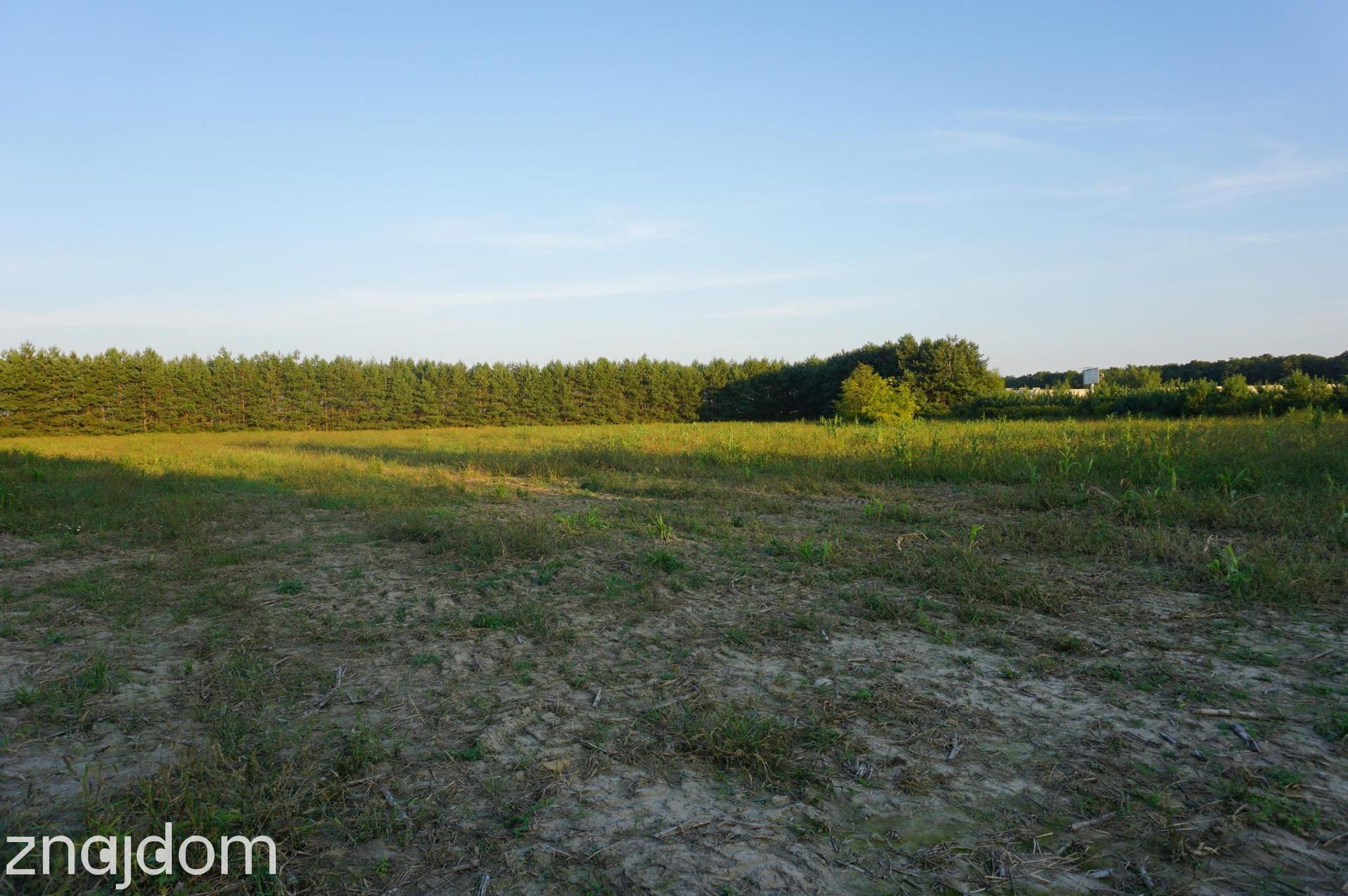 Ramiszów - działka inwestycyjna 15.000 m2 - zdjęcie 3