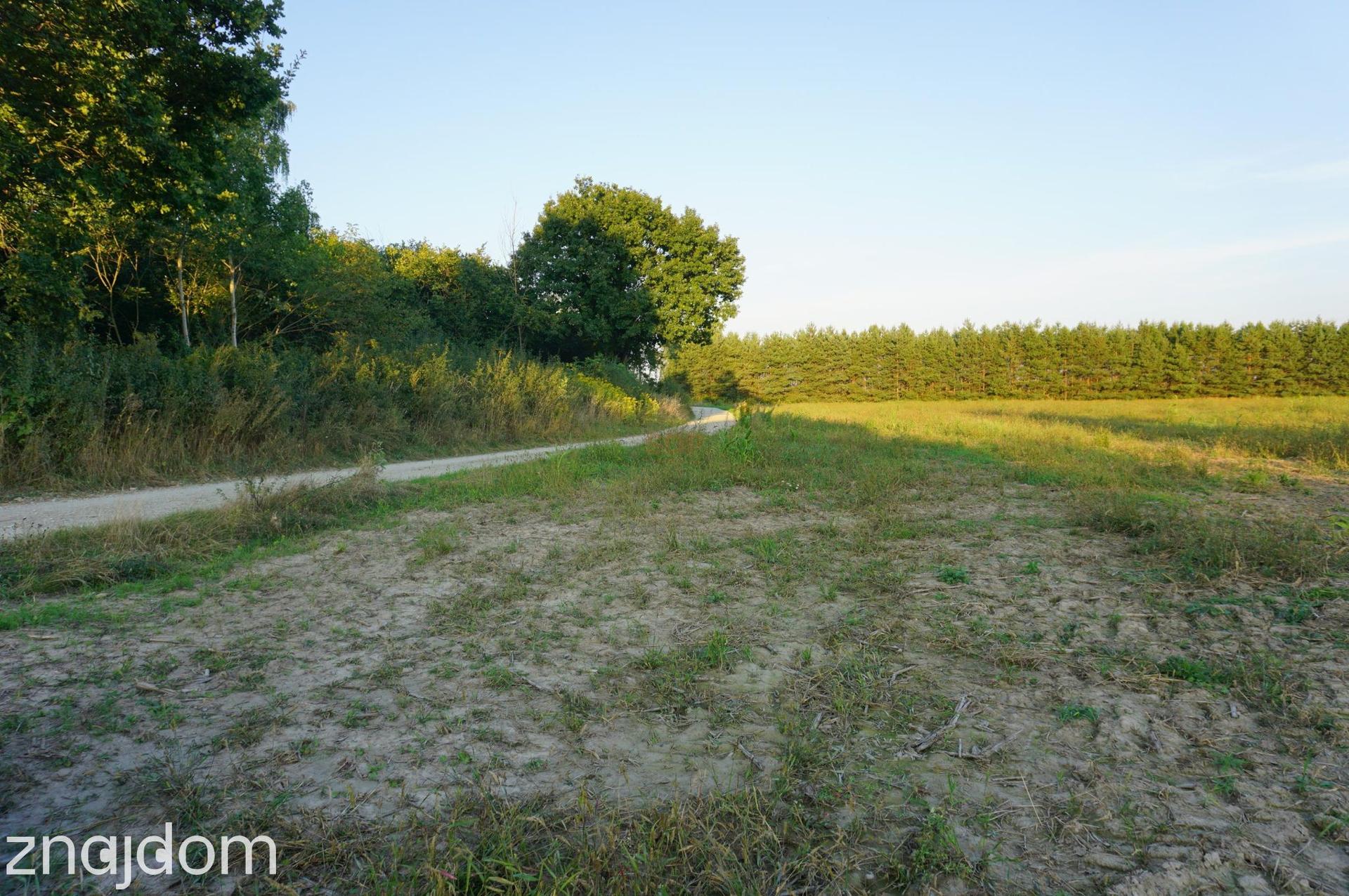 Ramiszów - działka inwestycyjna 15.000 m2 - zdjęcie 4