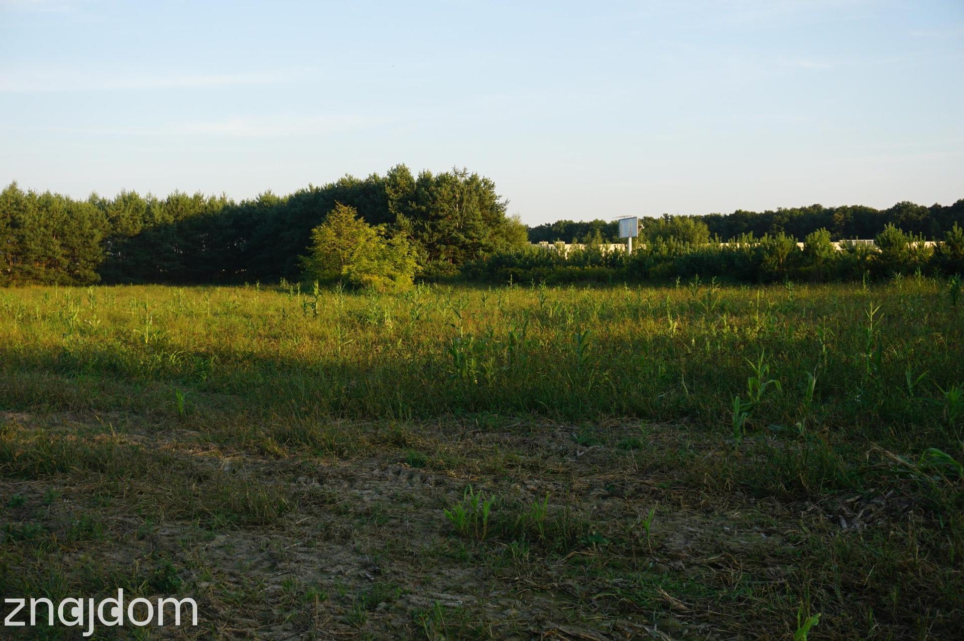 Ramiszów - działka inwestycyjna 15.000 m2 - zdjęcie 5