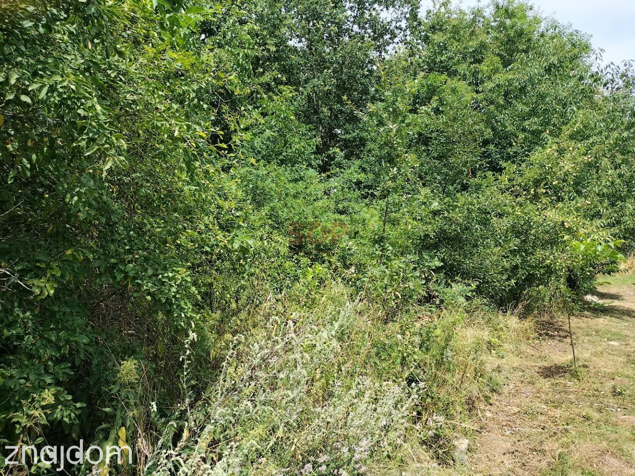 Dz. budowlana, 147 ar, uzbrojona (w drodze), las - zdjęcie 10