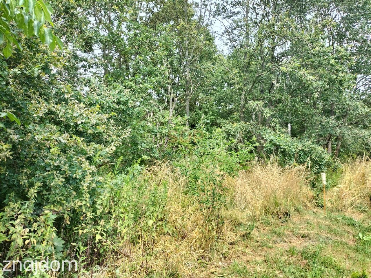 Dz. budowlana, 147 ar, uzbrojona (w drodze), las - zdjęcie 12