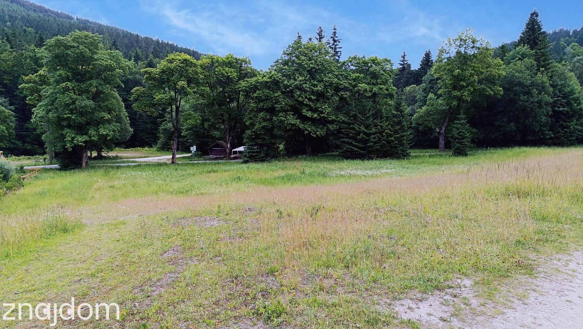 Działka MN/UT 13.890 m2 przy Jaskini Niedźwiedziej - zdjęcie 3