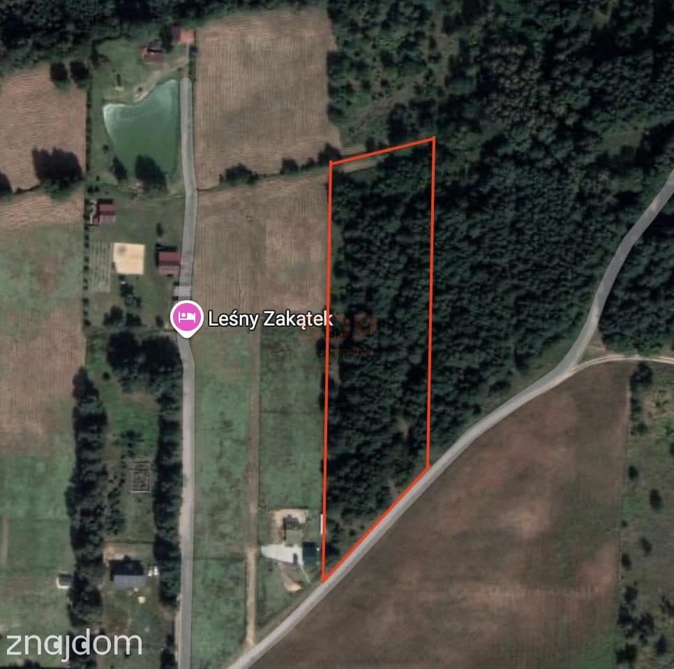 Spokój, natura, potencjał – 1,7 ha działki! - zdjęcie 2
