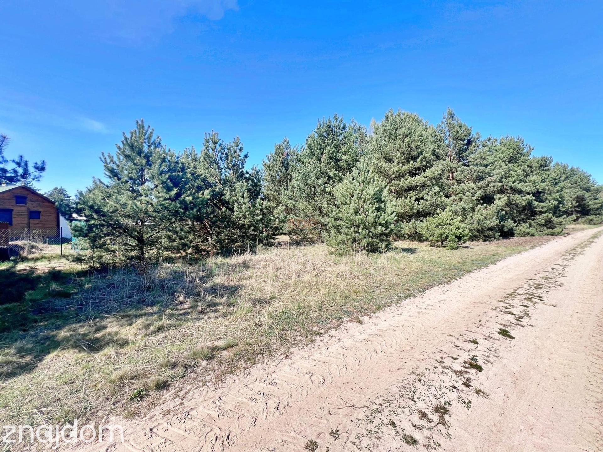 Spokój, natura, potencjał – 1,7 ha działki! - zdjęcie 3