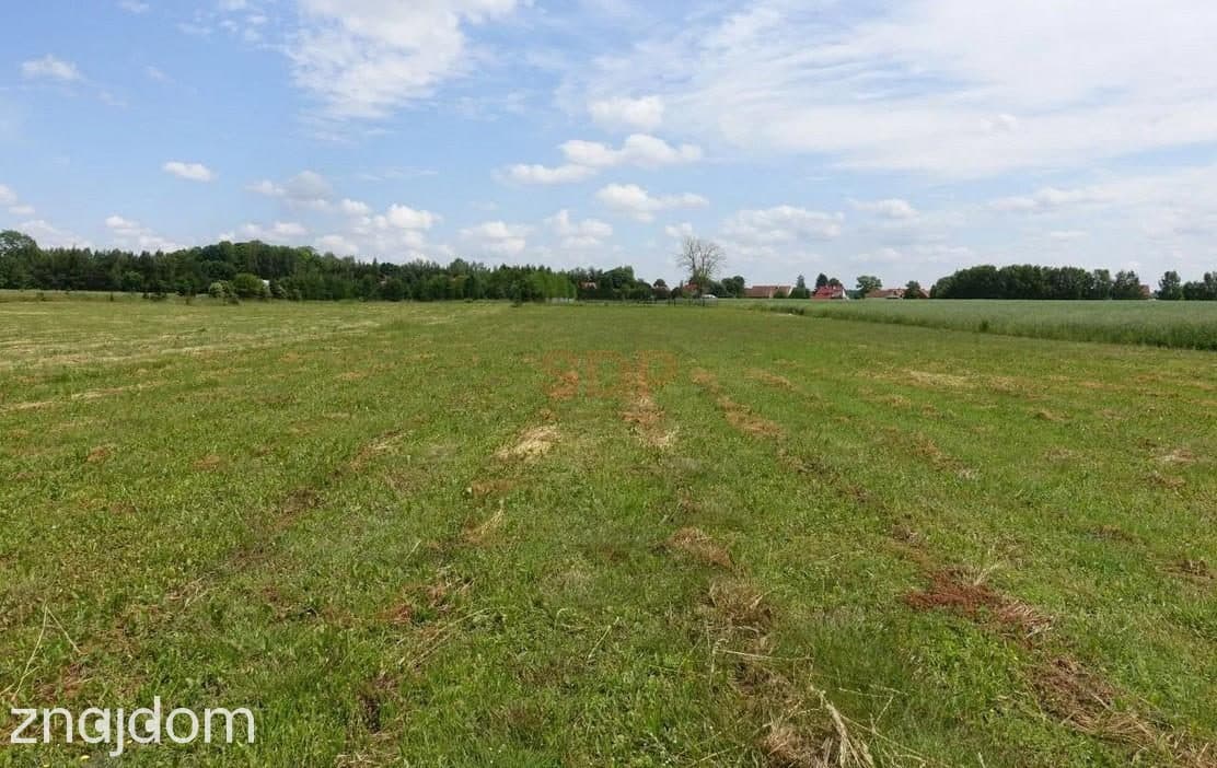 Kal / Jezioro Mamry | 1,42 ha z linią brzegową | działka inwestycyjna - zdjęcie 10