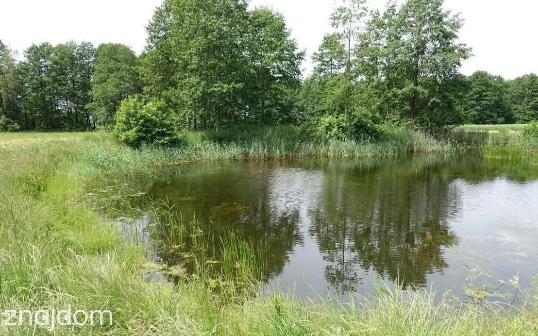 Kal / Jezioro Mamry | 1,42 ha z linią brzegową | działka inwestycyjna - zdjęcie 3