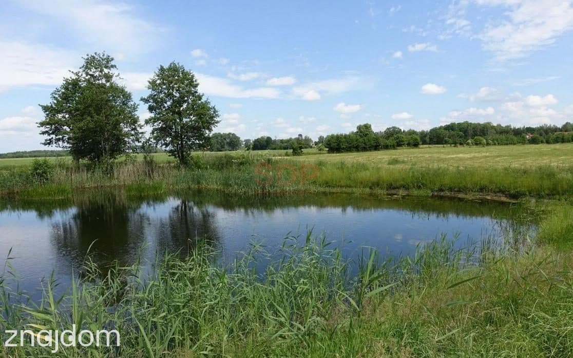 Kal / Jezioro Mamry | 1,42 ha z linią brzegową | działka inwestycyjna - zdjęcie 4