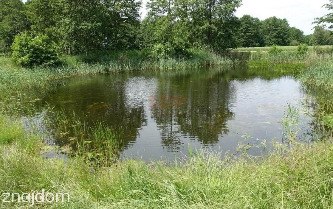 Kal / Jezioro Mamry | 1,42 ha z linią brzegową | działka inwestycyjna - zdjęcie 5