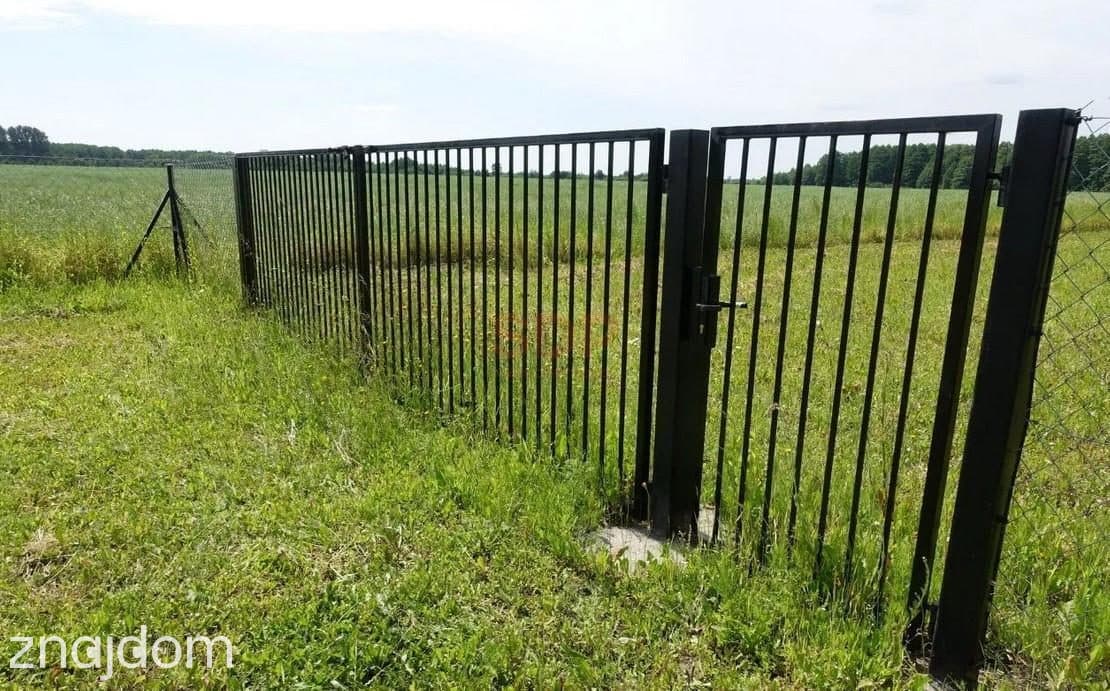 Kal / Jezioro Mamry | 1,42 ha z linią brzegową | działka inwestycyjna - zdjęcie 6