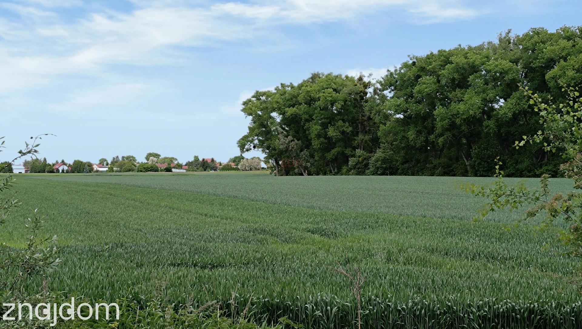 Działka usługowa przy A4, 10.001 m2, Wojkowice/Żórawina - zdjęcie 10