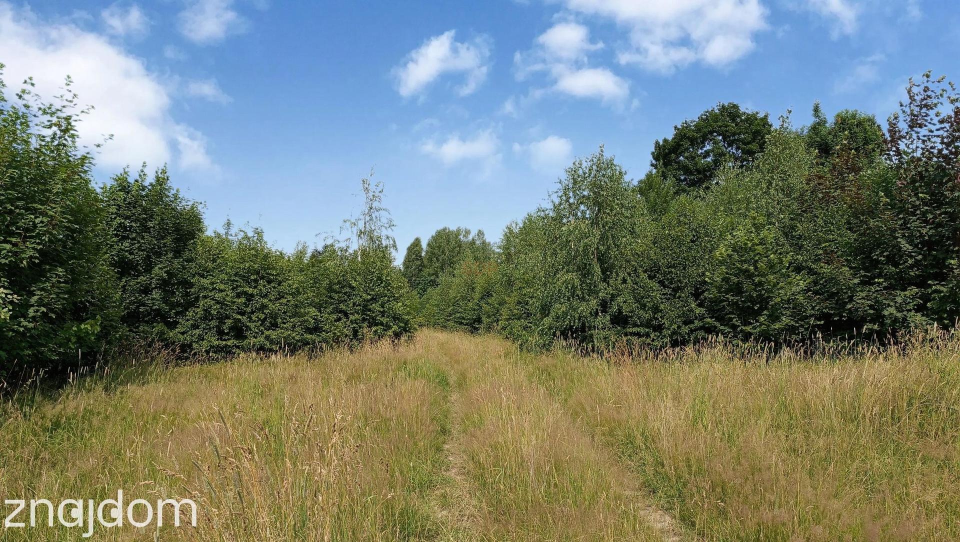 Kudowa-Zdrój, budowlana, 2404 m2, media - zdjęcie 5