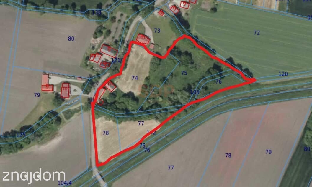 Działka 1,74 ha /dom do remontu / siedlisko