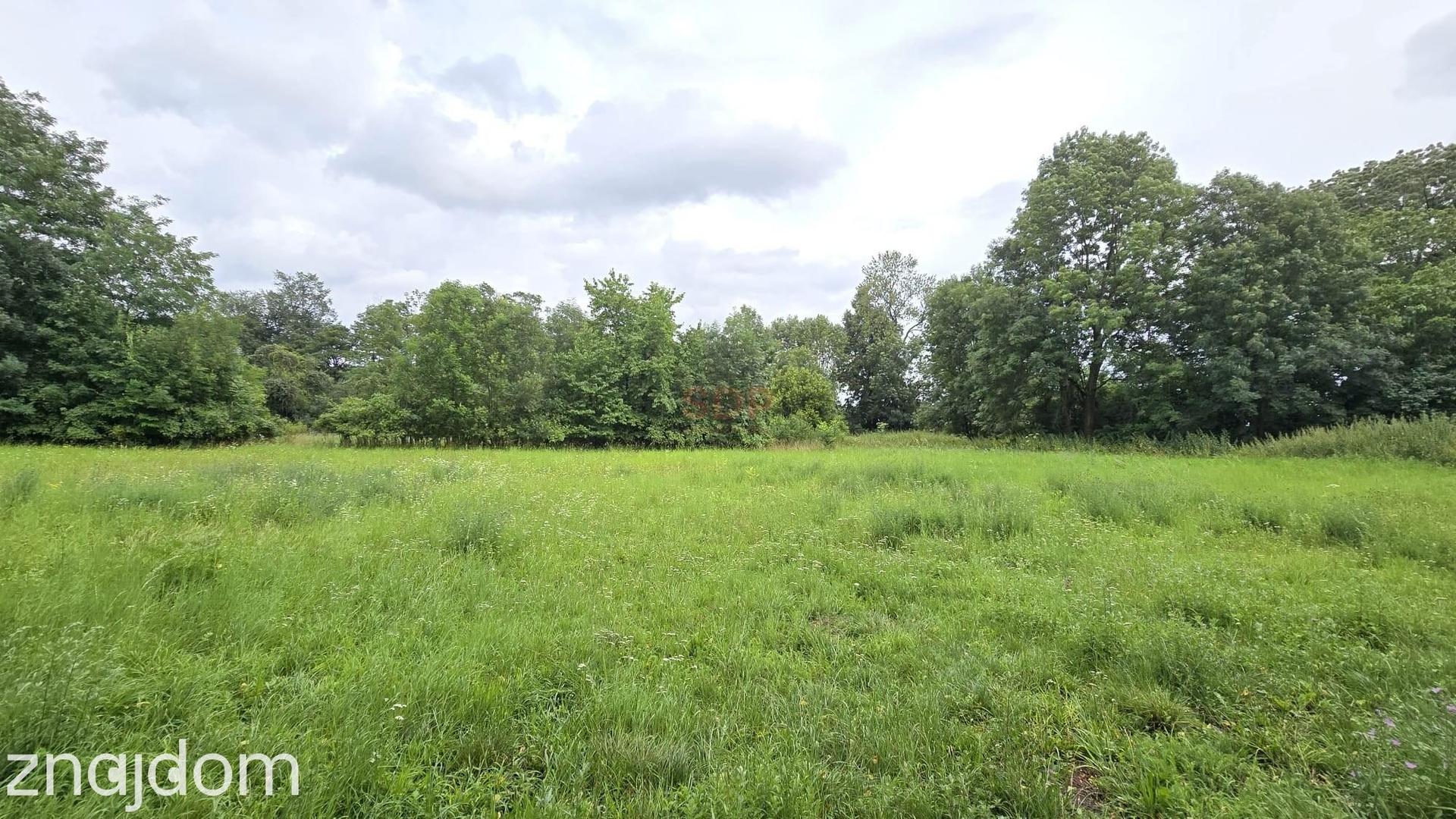 Działka 1,74 ha /dom do remontu / siedlisko - zdjęcie 2