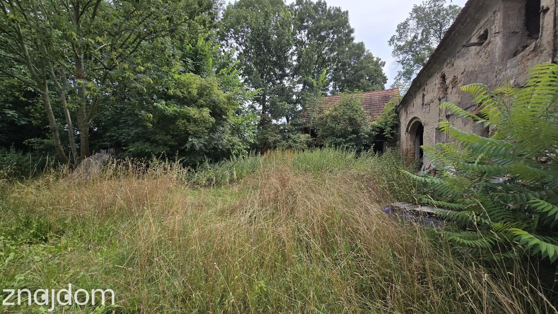 Działka 1,74 ha /dom do remontu / siedlisko - zdjęcie 4