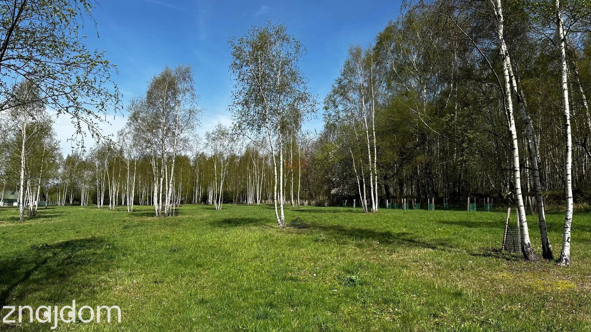 Działka o powierzchni około 2000 m2 w Nowej Wsi