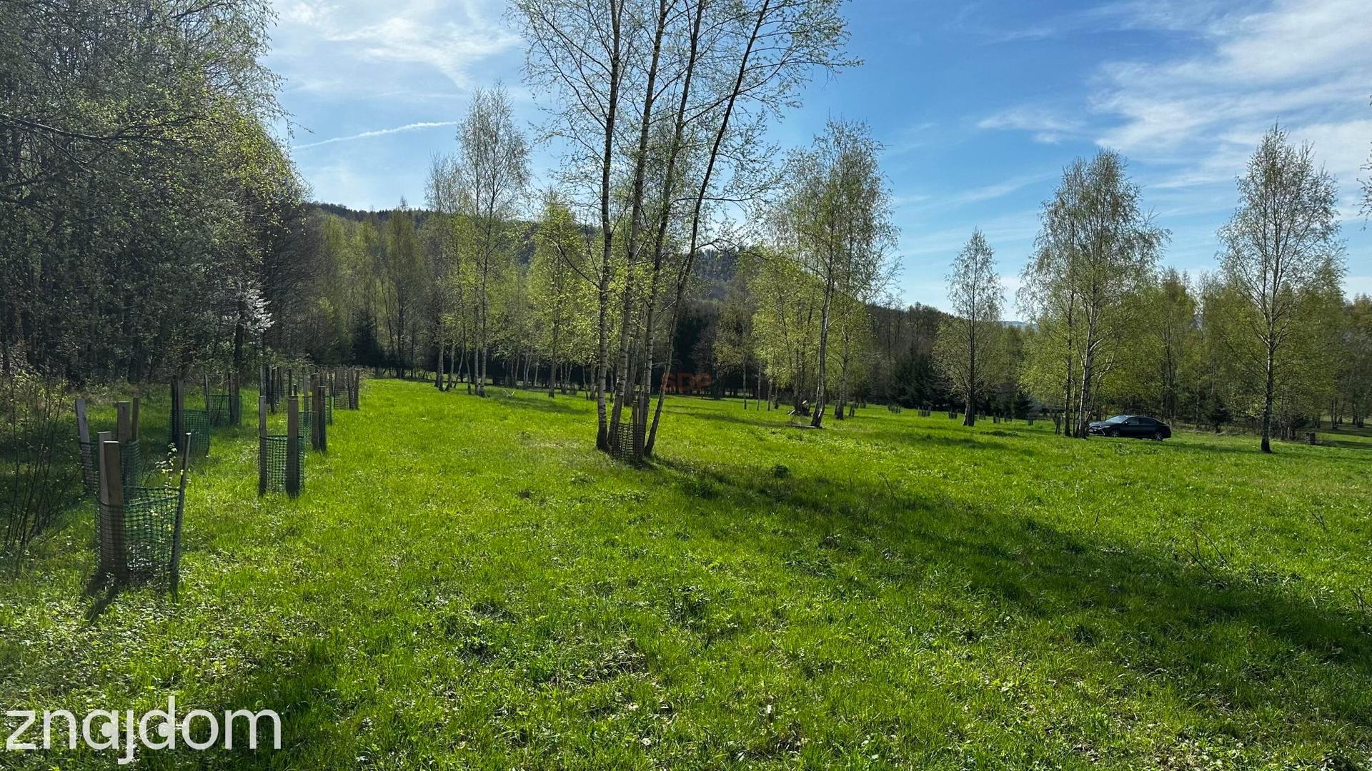 Działka o powierzchni około 2000 m2 w Nowej Wsi - zdjęcie 3