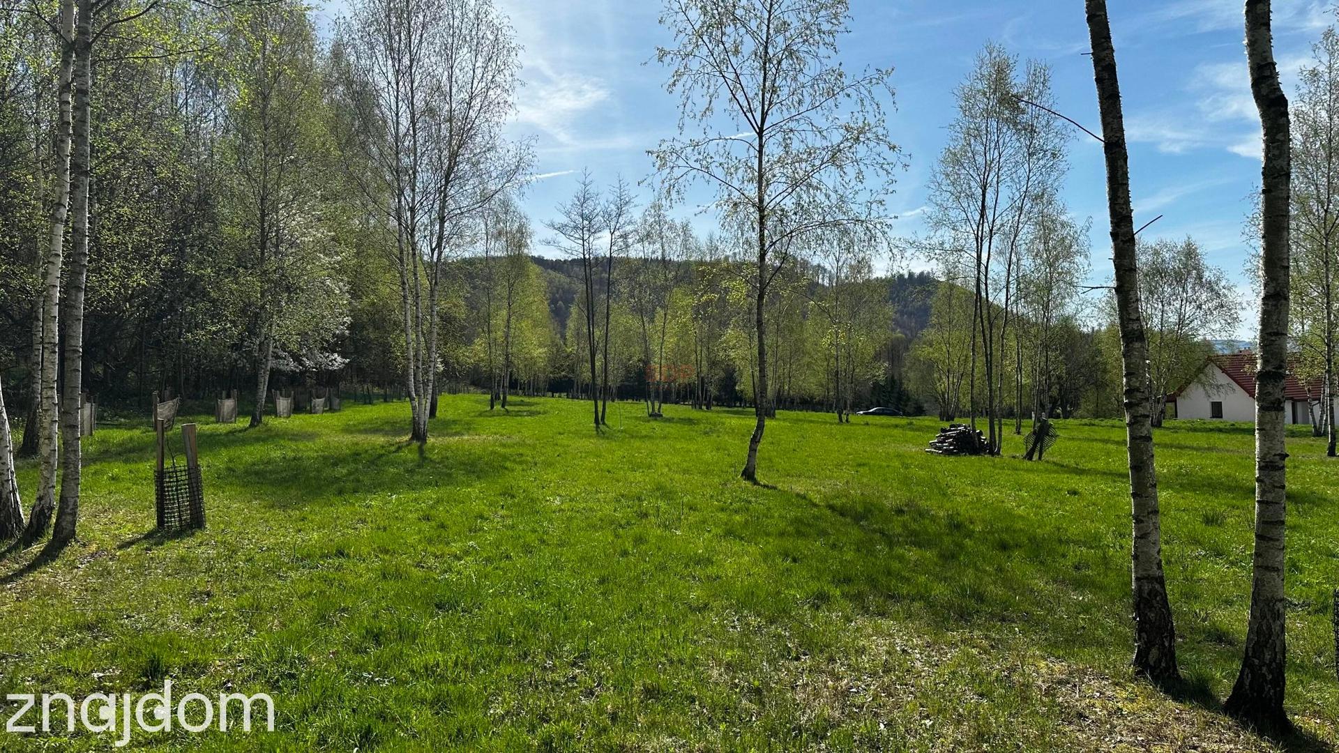 Działka o powierzchni około 2000 m2 w Nowej Wsi - zdjęcie 4