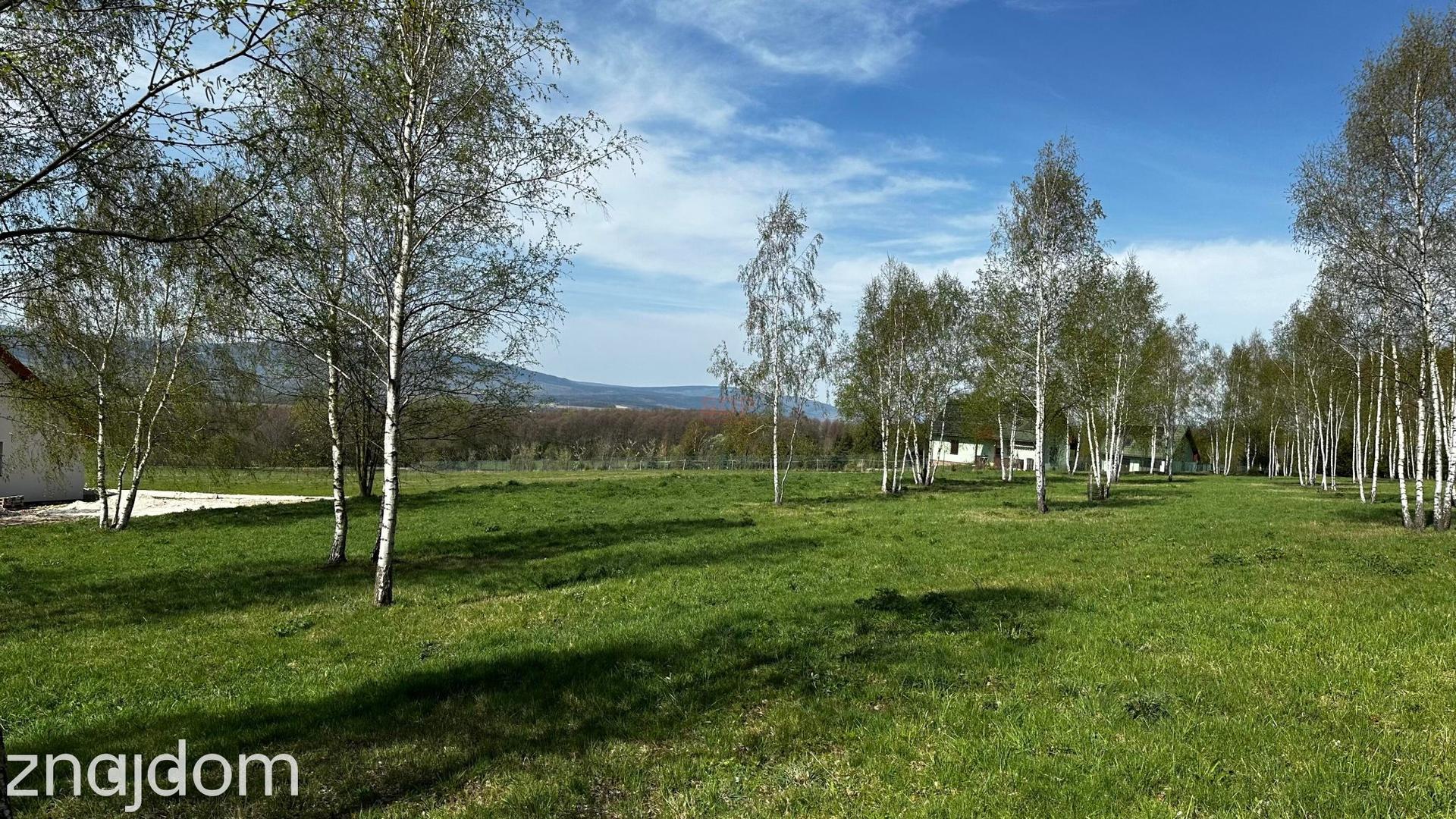 Działka mieszkaniowo-rekreacyjna o powierzchni 3753m2 w Nowej Wsi - zdjęcie 2