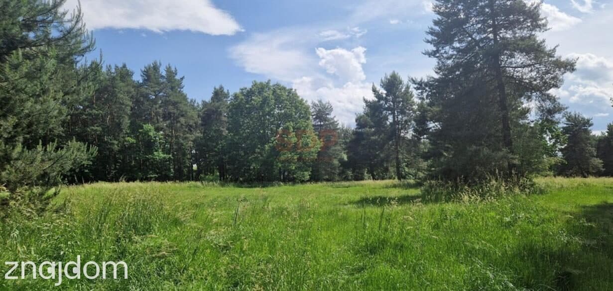 Zębice, gm. Siechnice, 40 085 m2, budowlana MN, przy lesie - zdjęcie 10