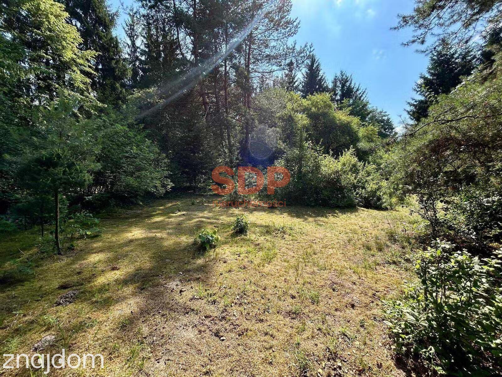 Radachówka | Działka rekreacyjna 961 m² | Las, rzeka, cisza | 30 min od Warszawy - zdjęcie 4