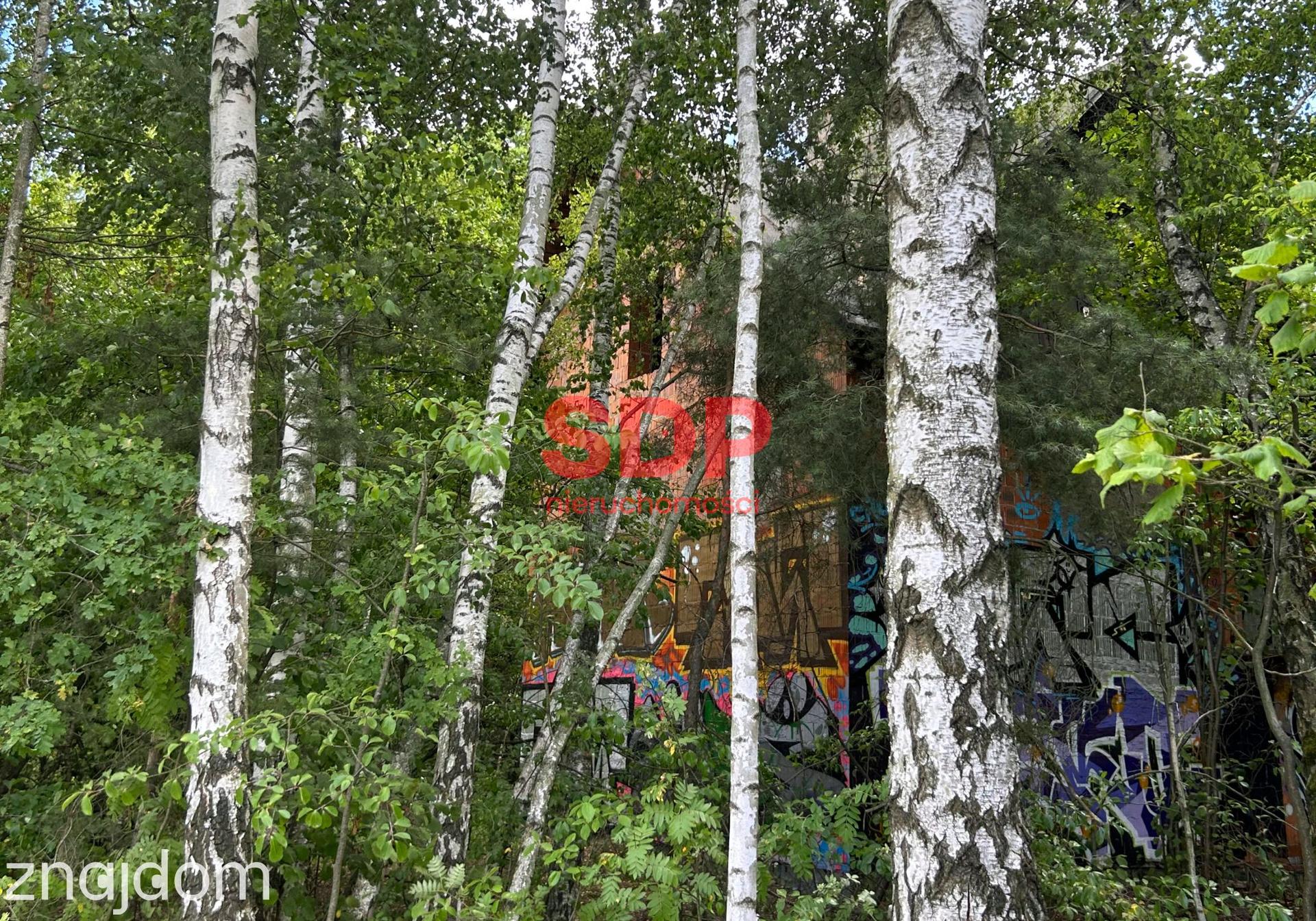 Grunt inwestycyjny 18 821 m² | 4 działki | Łódź ul. Denna | WZiZT w trakcie - zdjęcie 10
