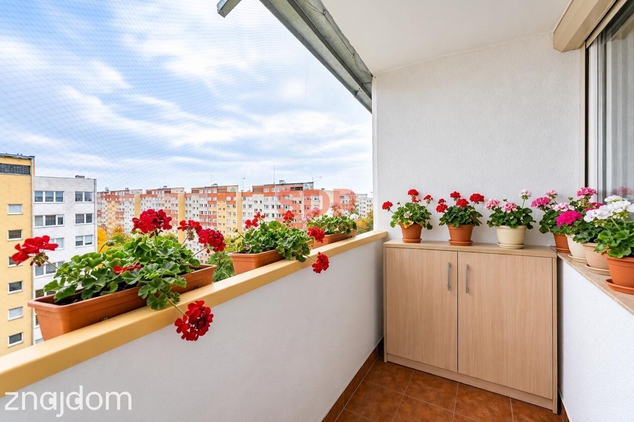 Kawalerka z dużym balkonem (ponad 5 m2), winda, praking pod blokiem - zdjęcie 13