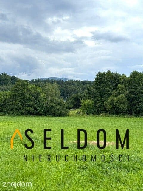 Wyjątkowa działka w Sosnówce - zdjęcie 2