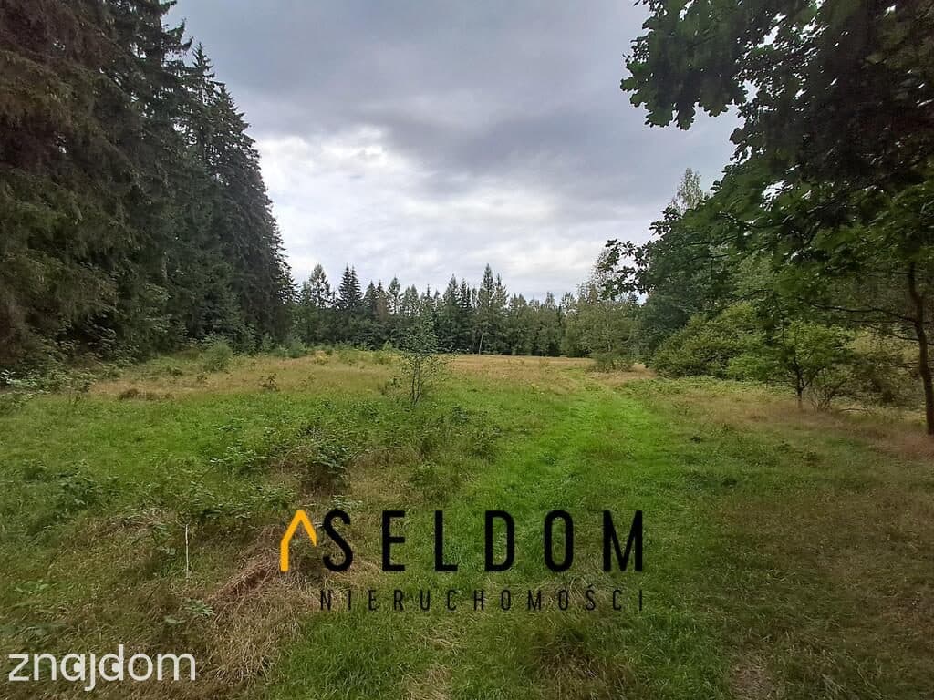 Malownicza działka pod lasem - zdjęcie 3