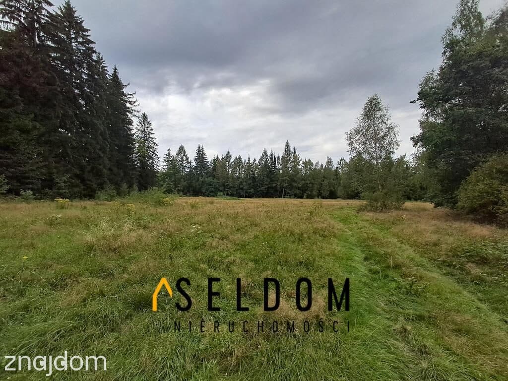 Malownicza działka pod lasem