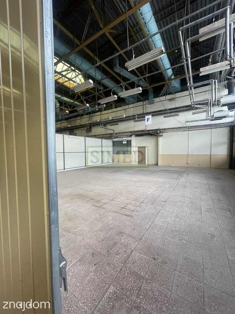 Hurtownia,magazyn,dobry dojazd,parking,parter,24h - zdjęcie 6