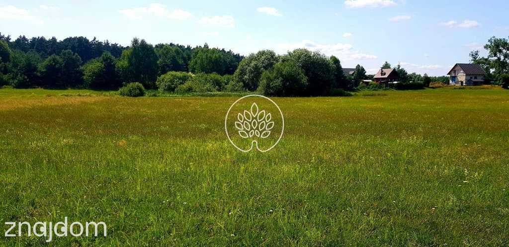 Błądzim. 400 m od brzegu jeziora. - zdjęcie 3