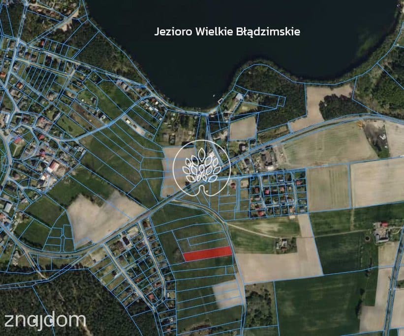 Błądzim. 400 m od brzegu jeziora. - zdjęcie 2