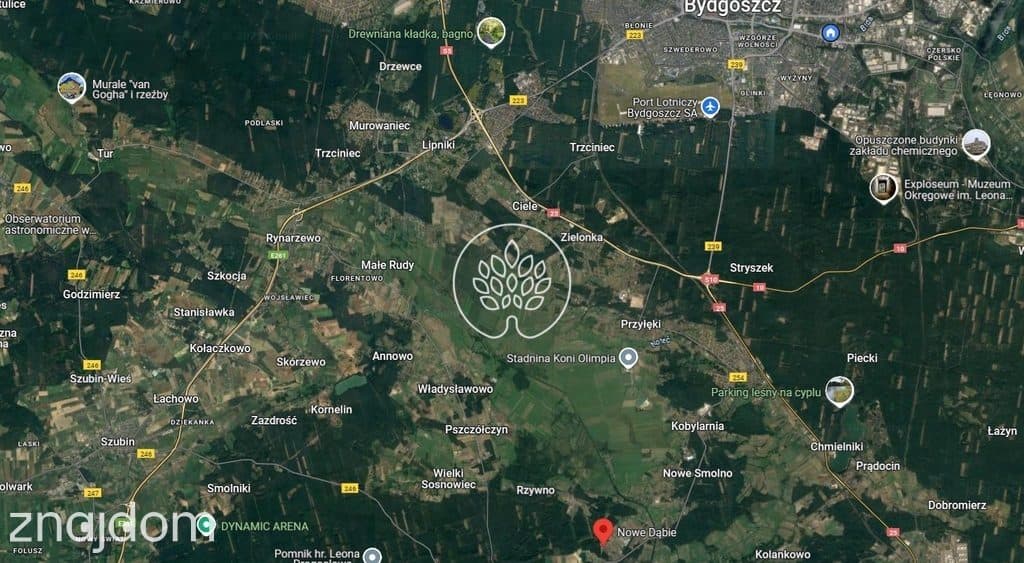 Nowe Dąbie, działki pod Twój dom - zdjęcie 7