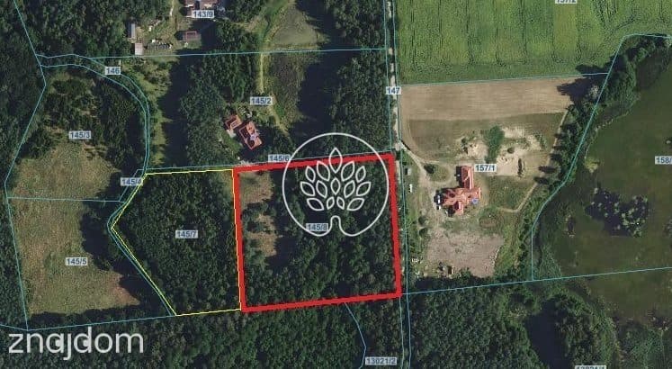 Działka, NOWY JASINIEC - zdjęcie 5