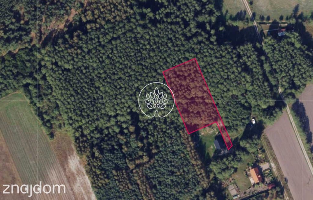 Na sprzedaż działka 2650 m² – Klotyldowo - zdjęcie 2